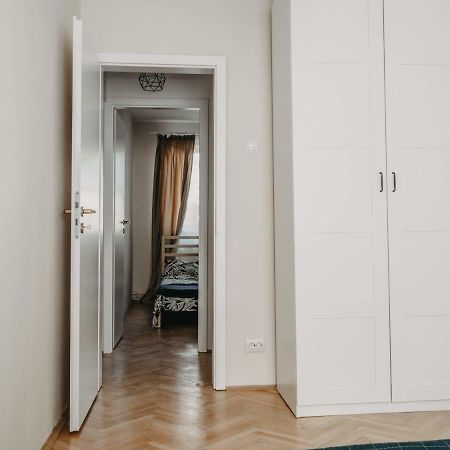 טימישוארה Business And Travel Central Apartment מראה חיצוני תמונה