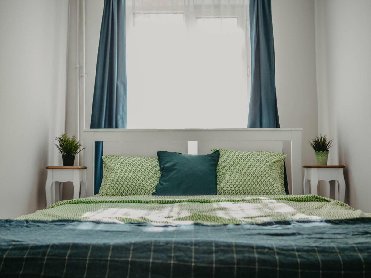 טימישוארה Business And Travel Central Apartment מראה חיצוני תמונה
