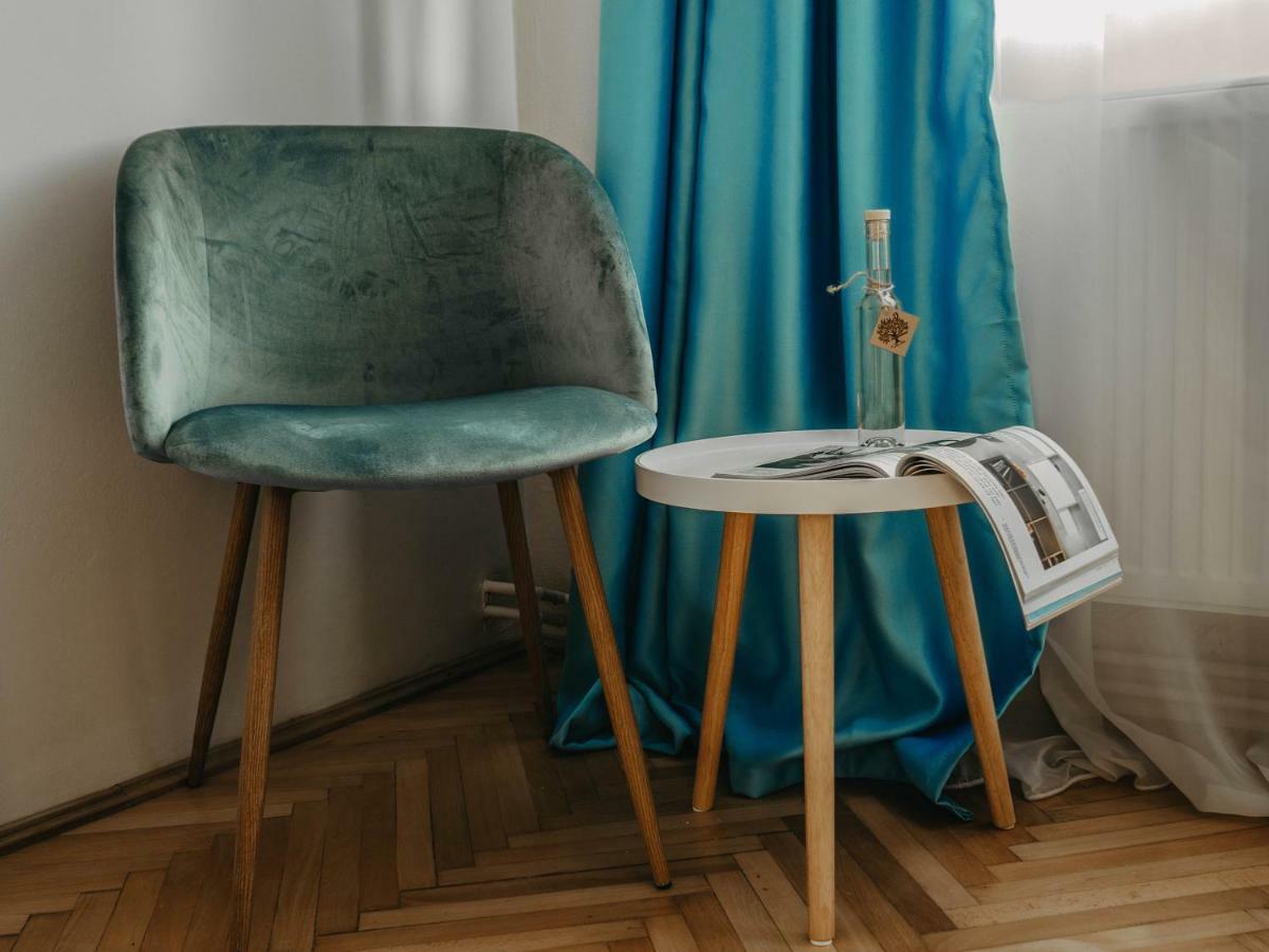 טימישוארה Business And Travel Central Apartment מראה חיצוני תמונה