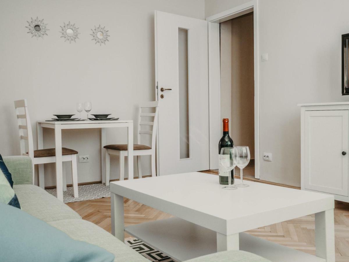 טימישוארה Business And Travel Central Apartment מראה חיצוני תמונה