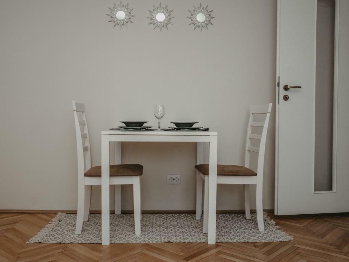 טימישוארה Business And Travel Central Apartment מראה חיצוני תמונה