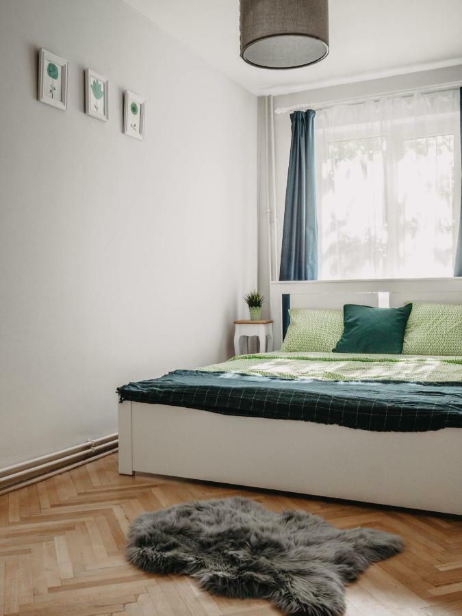 טימישוארה Business And Travel Central Apartment מראה חיצוני תמונה