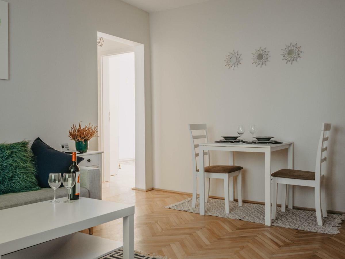 טימישוארה Business And Travel Central Apartment מראה חיצוני תמונה